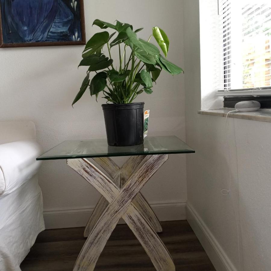 Tropical Hideaway! Apartman Fort Lauderdale Kültér fotó